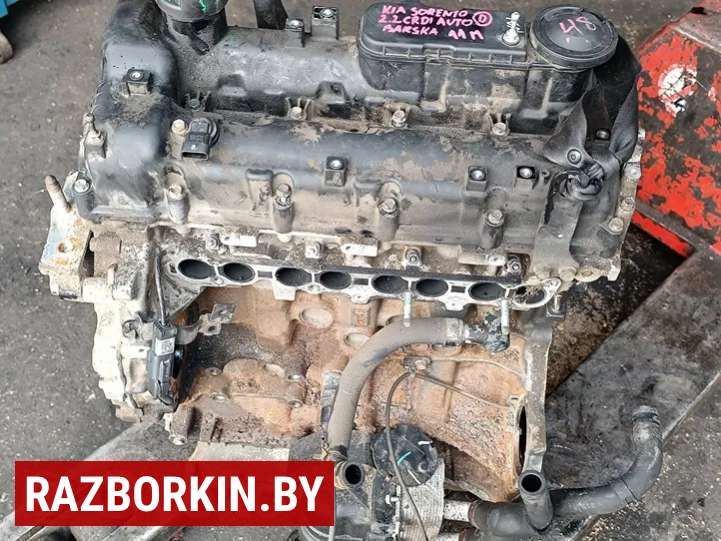Двигатель KIA Sorento 2012 2012. Купить бу KIA Sorento 2012 OEM №d4hb , artMAJ9205