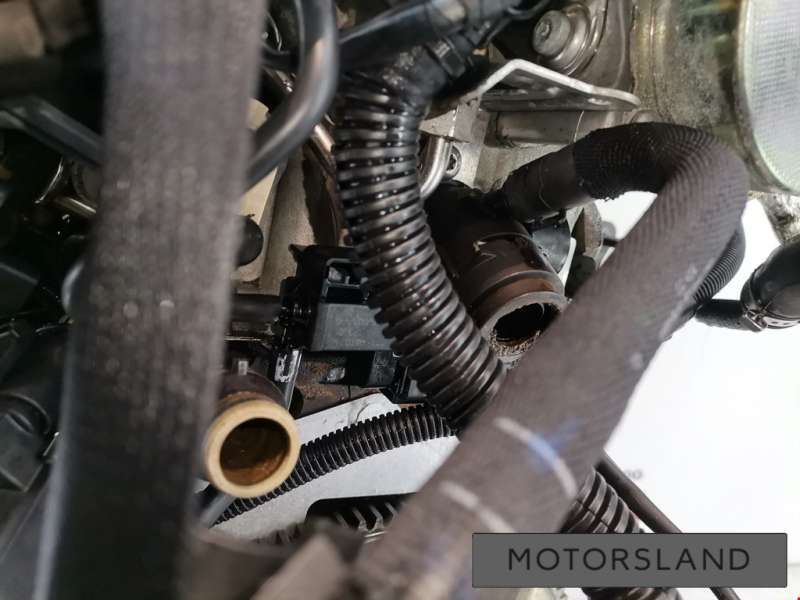 CABD Двигатель к Audi A5 (S5,RS5) 1 | Фото 14