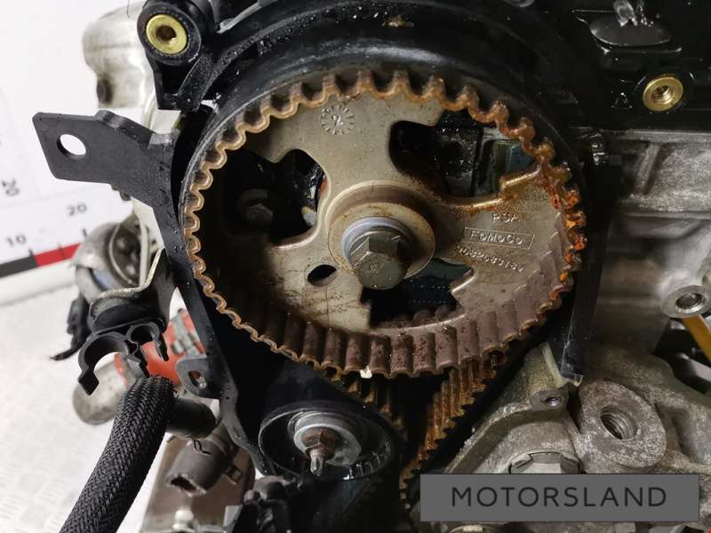 TXDA Двигатель к Ford Galaxy 2 | Фото 38